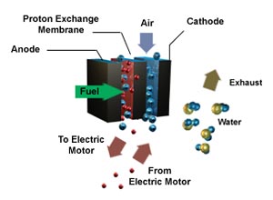 National Fuel Cell Research Center diagram.