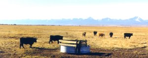 The Pintler Mountains provide the backdrop in this view of a stock tank in the Big Hole Valley. A solar-powered pump fills this and other tanks in the area.